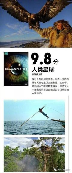 足不出戶看世界 9部堪稱神級(jí)的BBC紀(jì)錄片，暑假陪孩子一起漲知識(shí)